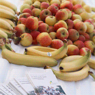 Fitness- und Gesundheitstag 2011