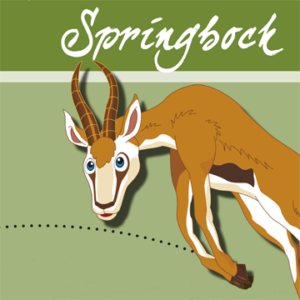 Preisverleihung des Springbock-Schülerpreises